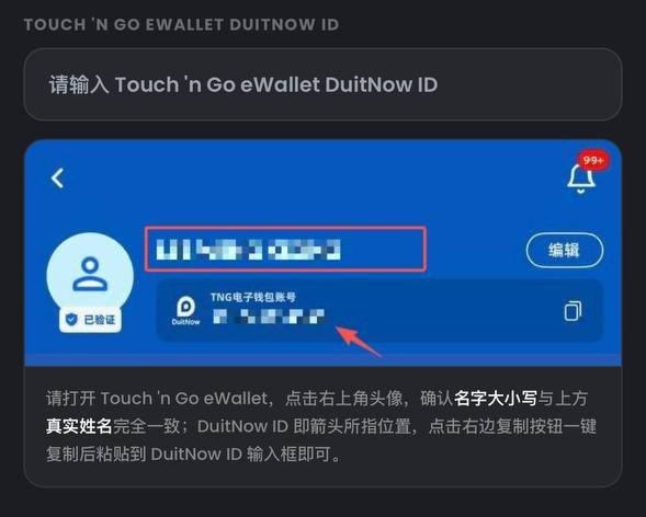 示意图:输入 TNG eWallet DuitNow ID